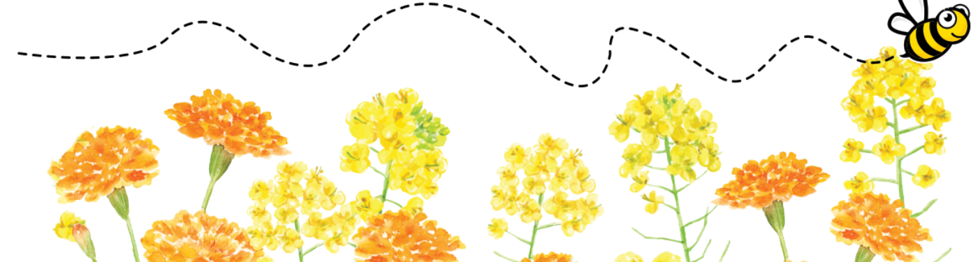 Bee and Flowers